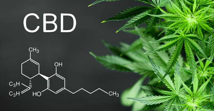 What is CBD? – Quick Guide To Cannabidiol