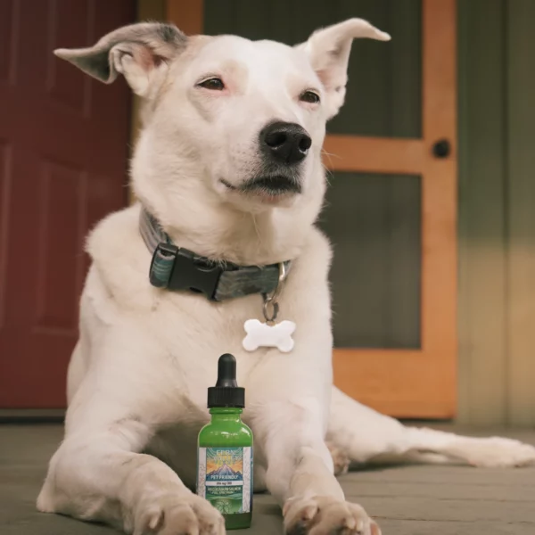 cbd oil for pets, 250mg cbd oil for dogs