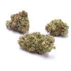 Sour G CBG flower- Fern Valley Farms Product Image