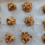 kief oat flaxseed morsels recipe fvf blog