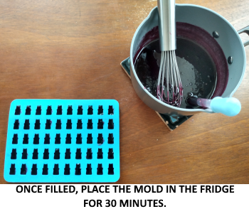 ONCE FILLED, PLACE THE MOLD IN THE FRIDGE FOR 30 MINUTES.