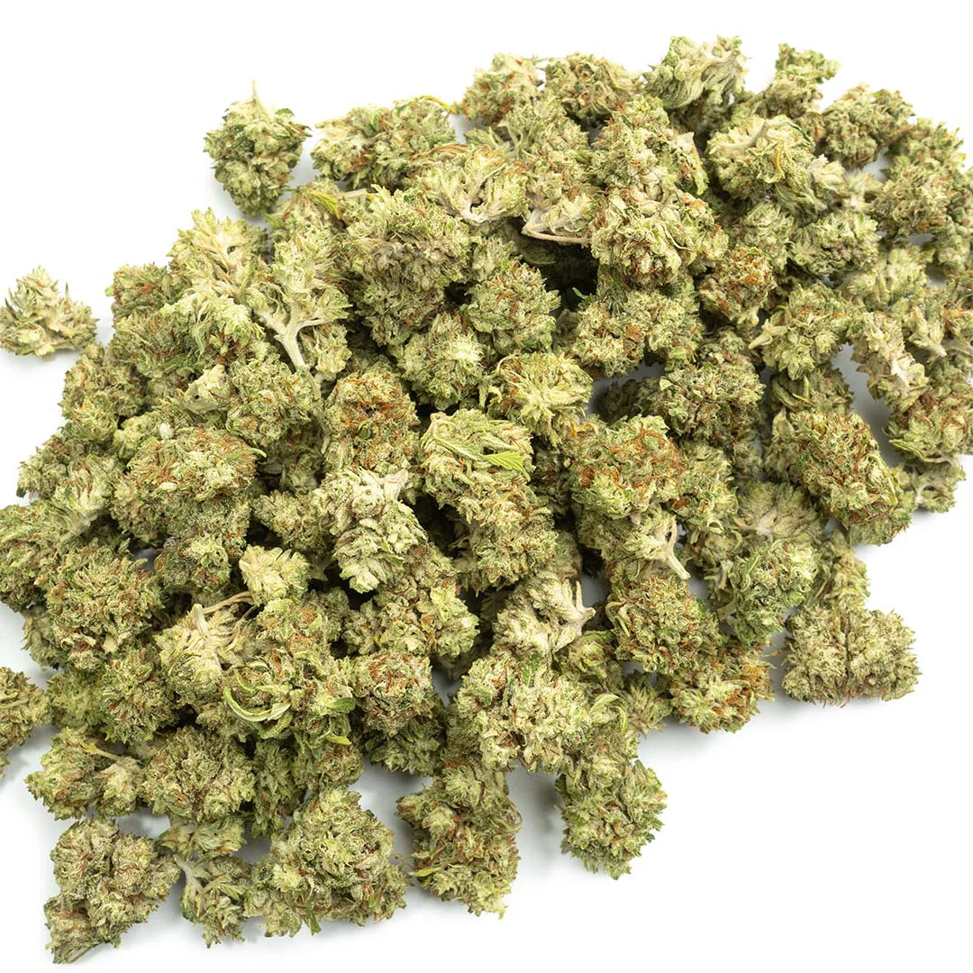 cbg white cbg flower small buds