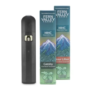 hhc disposable vapes gatsby and sour lifter