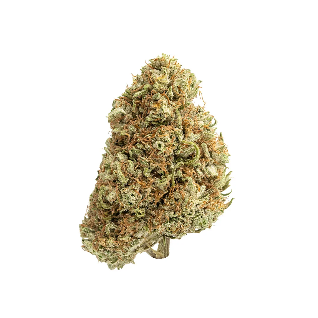 cbg white cbg flower hand trimmed big bud