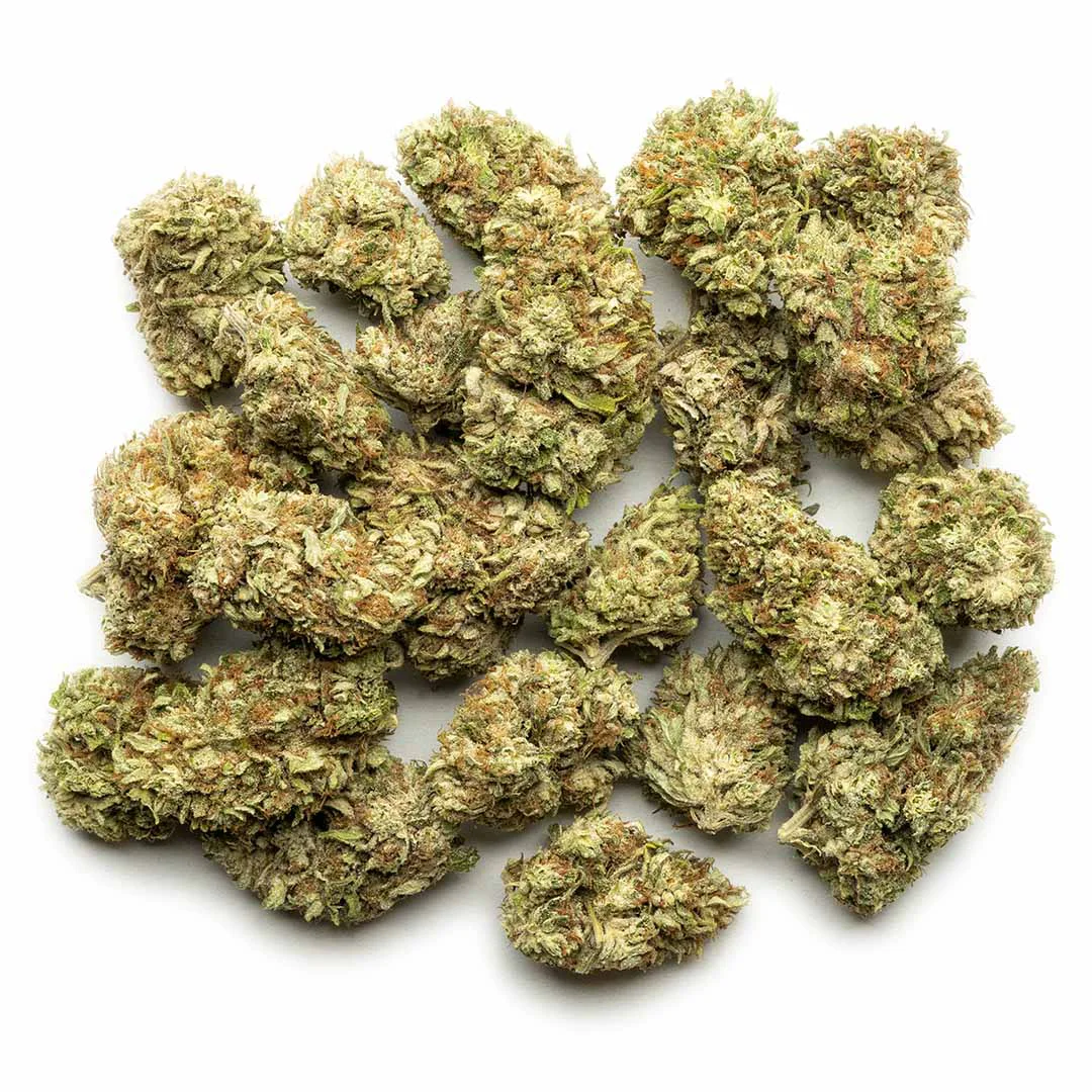 cbg white cbg flower hand trimmed big buds