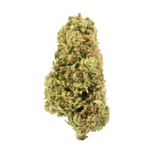 forbidden v cbdv flower fresh trimmed bud