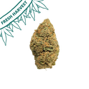 lemon octane delta 8 flower hand trimmed bud new