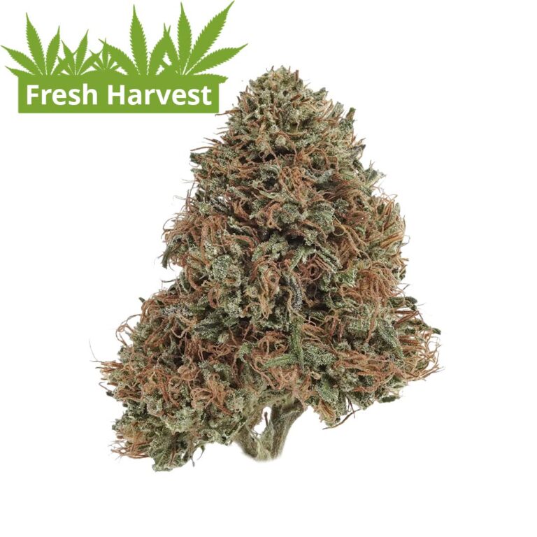 CBD Flower for Sale Fern Valley Farms