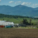 fern valley farms in may, field tilled and green mountains in the background