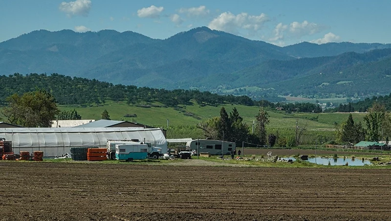 fern valley farms in may, field tilled and green mountains in the background