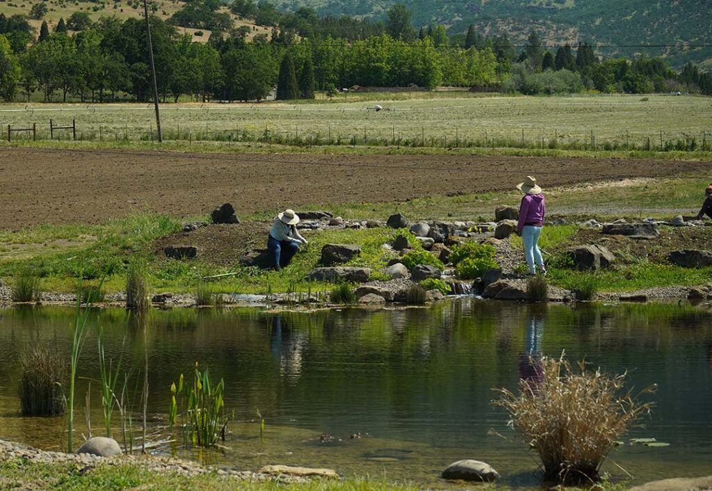 fern valley farms' pond with two workers, fields and mountains in the background
