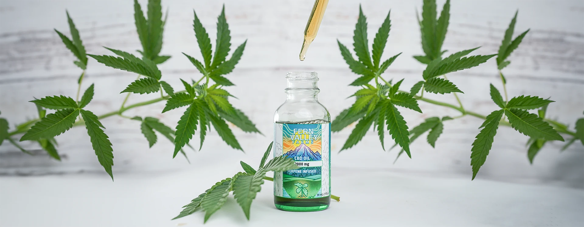 CBD Oil vs Tincture: What’s the Difference?