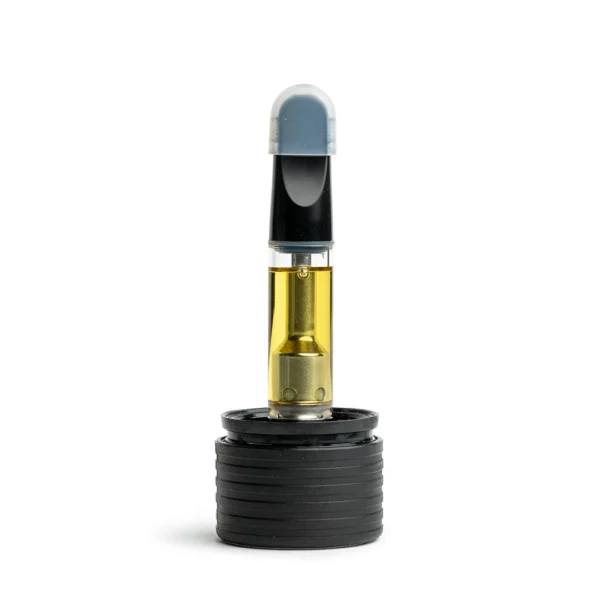 thc vapes holland Discover Puff THC & THC Vape