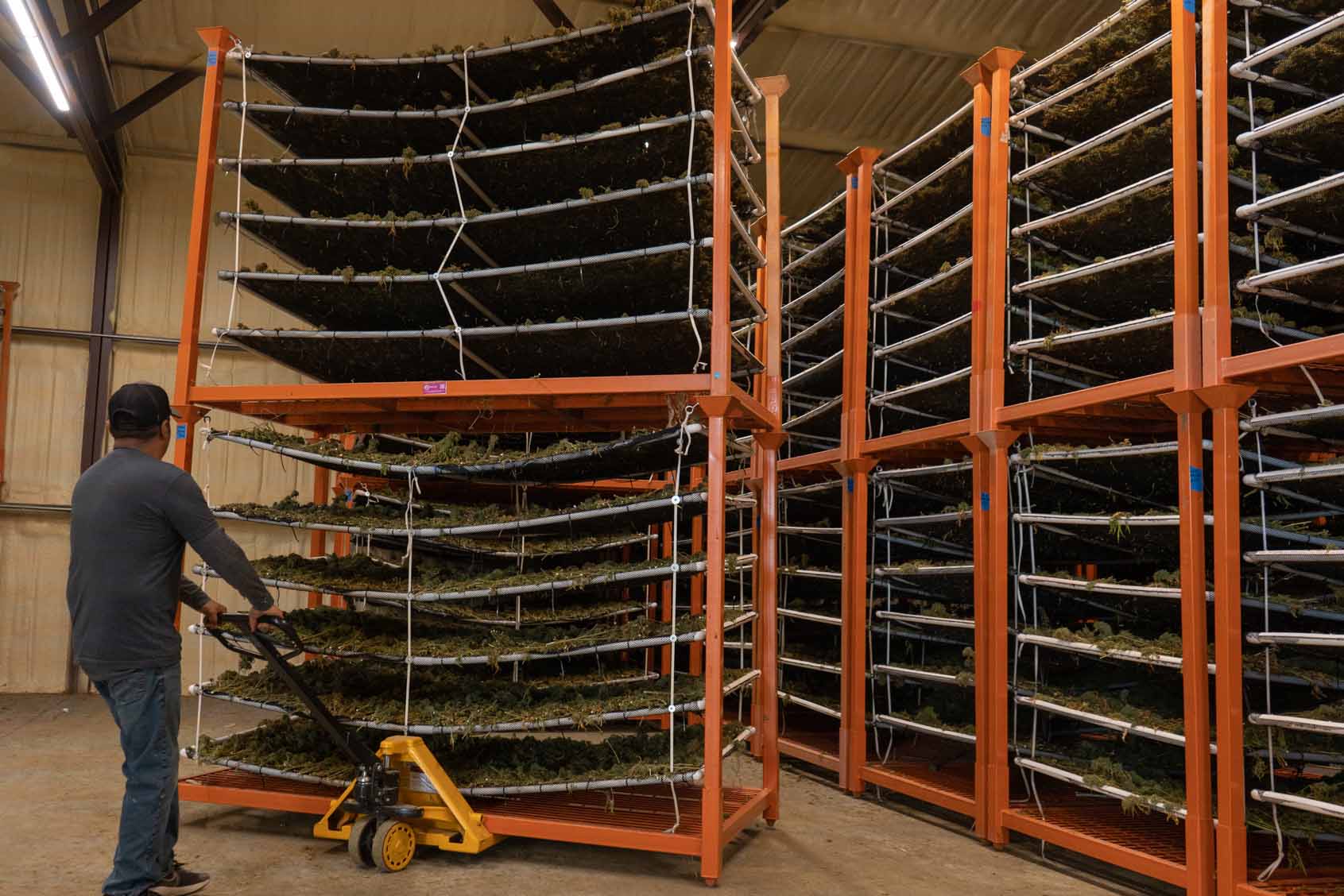 wholesale shop all fern valley farms