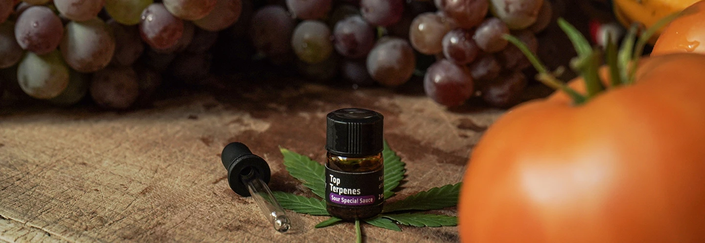How to Use Terpenes: A Guide to Hemp-Derived Aromas