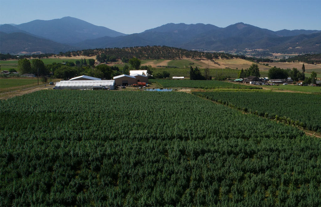 fern valley farms drone shot