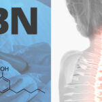 cbn vs cbd blog post