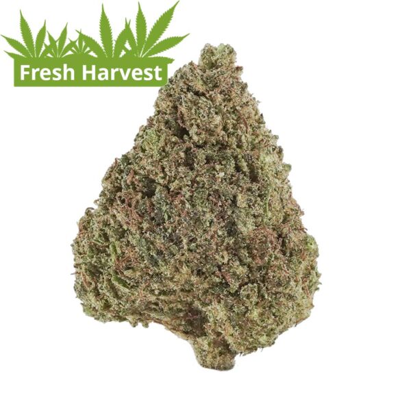 critical berries delta 8 cbd flower hand trimmed cold infused bud fresh harvest