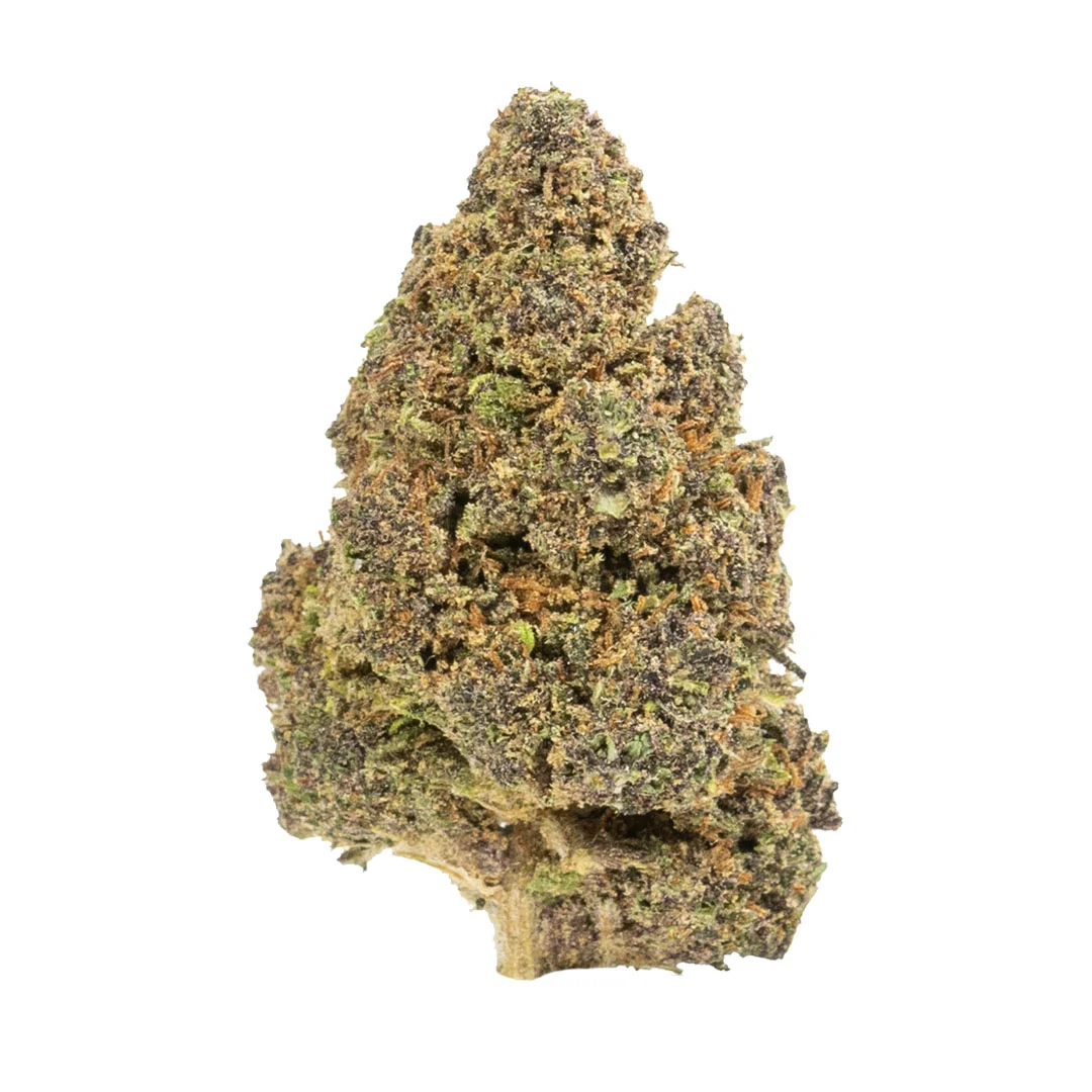 Orange Fritter | Delta 8 Flower - Fern Valley Farms