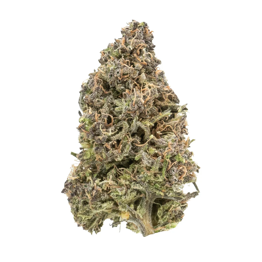 blueberry diesel cbd flower fresh trimmed big bud