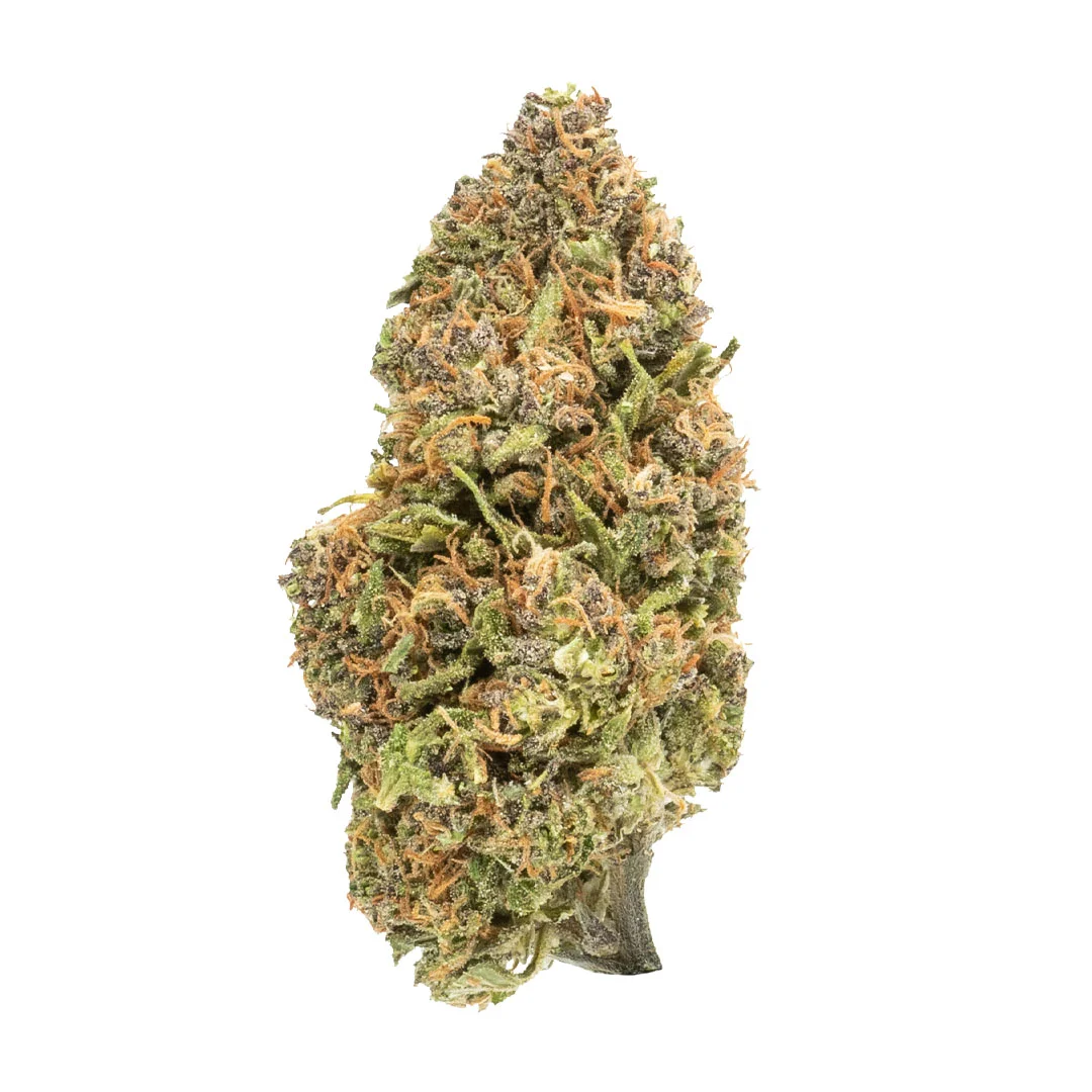 Strawberry Diesel CBD Flower | Fern Valley Farms