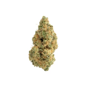 black maple indoor grown thca flower hand trimmed bud