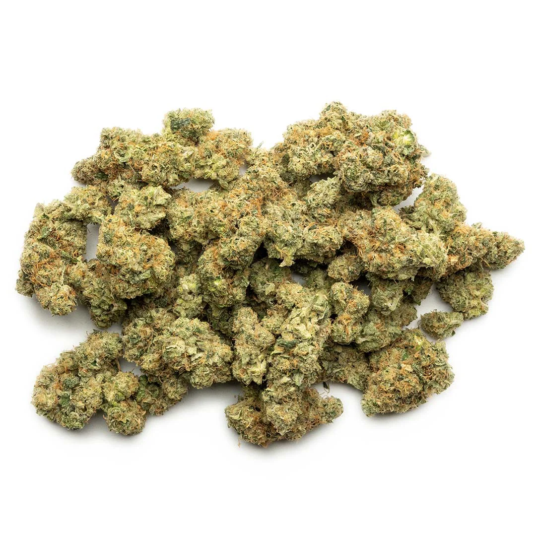 black maple indoor grown thca flower hand trimmed buds