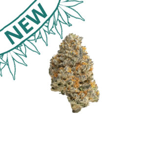 mint tao thca flower big bud new