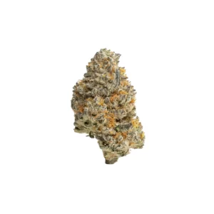 mint tao thca flower big bud