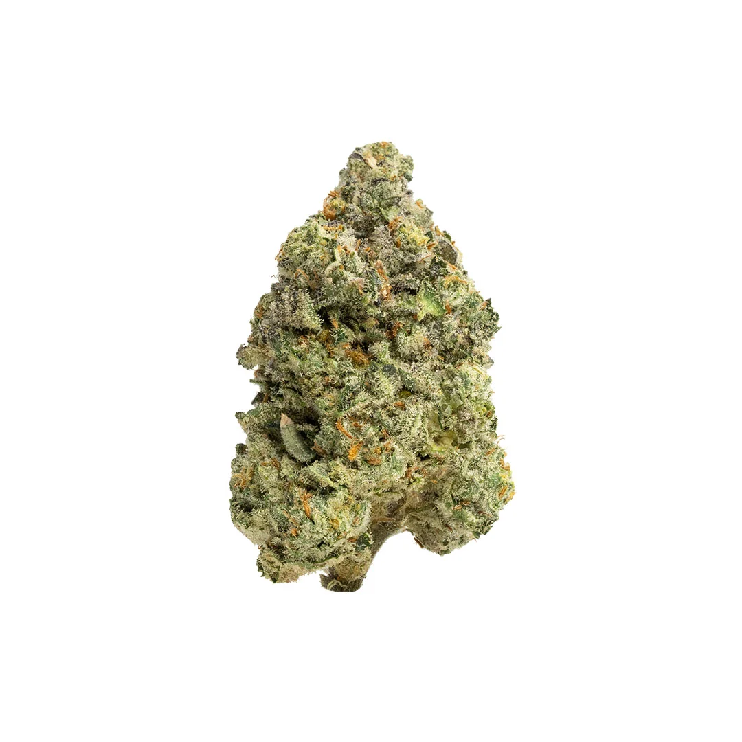 black scotti hand trimmed thca flower