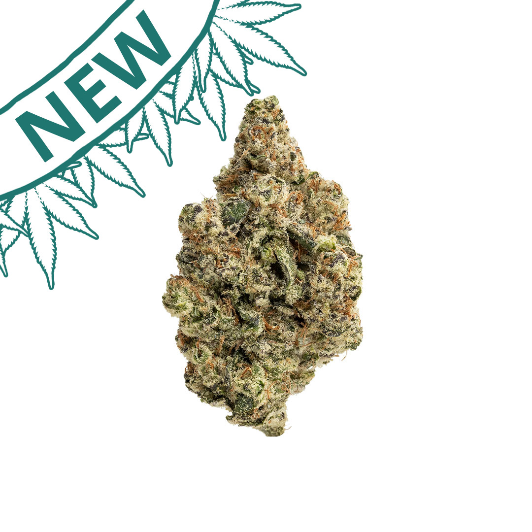 Lizard Burger | THCA Flower (Indoor) - Fern Valley Farms