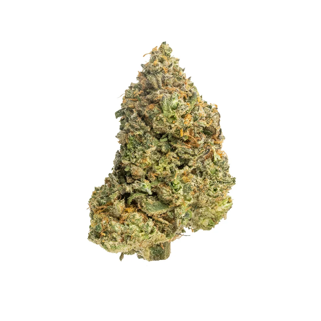 lazer wolf indoor grown thca flower hand trimmed bud