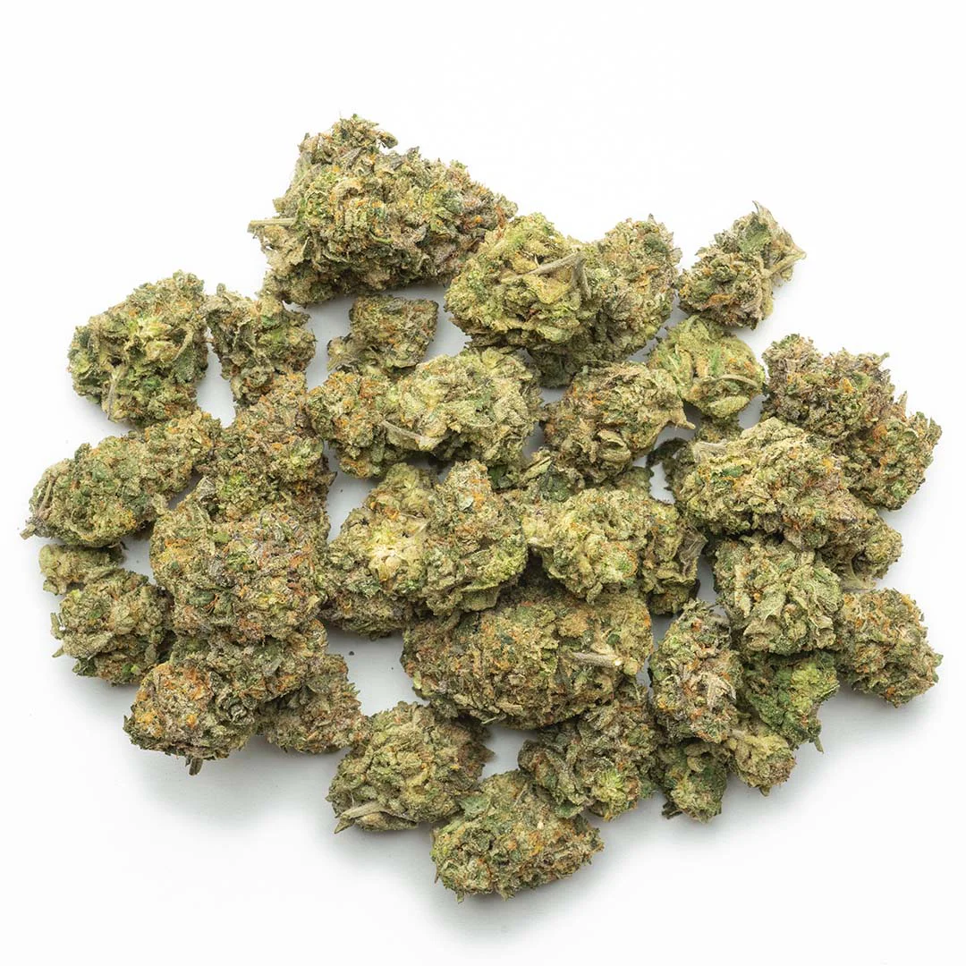 lazer wolf indoor grown thca flower hand trimmed buds