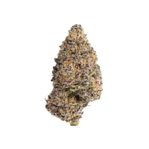 trap-fuel-thca-purple trap fuel purple thca flower hand trimmed bud