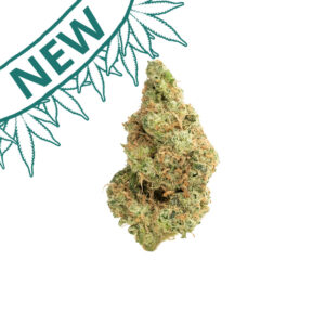 garlic juice indoor grown thca flower hand trimmed bud new