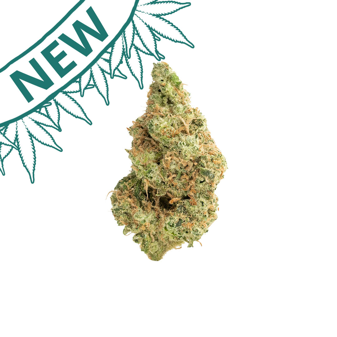 garlic juice indoor grown thca flower hand trimmed bud new