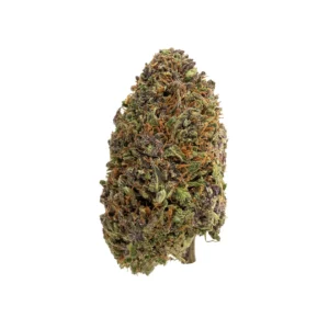 purple snowman cbd flower hand trimmed big bud