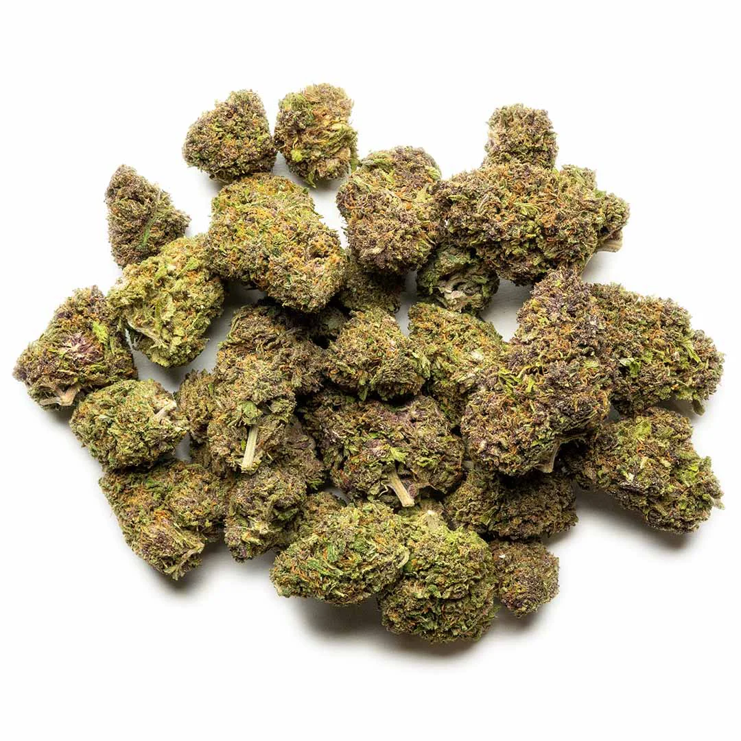 purple snowman cbd flower hand trimmed big buds