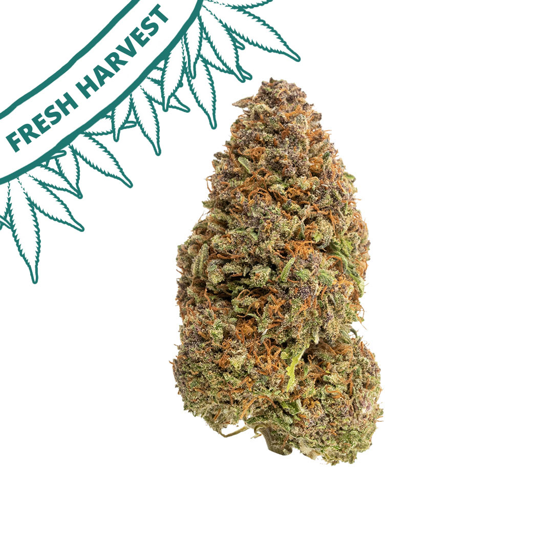 sweet tarts outdoor grown cbd flower hand trimmed bud