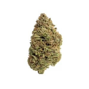 cream puff cbd flower big bud