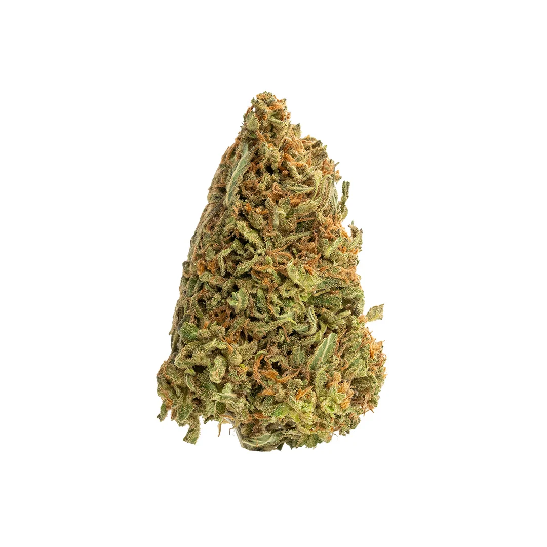 candy gorilla burgers outdoor grown thca flower hand trimmed big bud