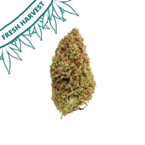 daiquiri factory cbd flower outdoor grown hand trimmed big bud