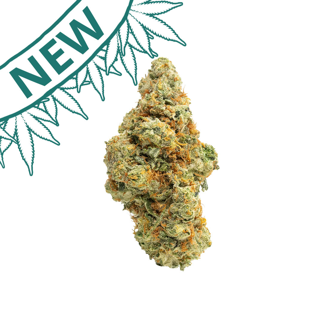 melted strawberries indoor grown thca flower new