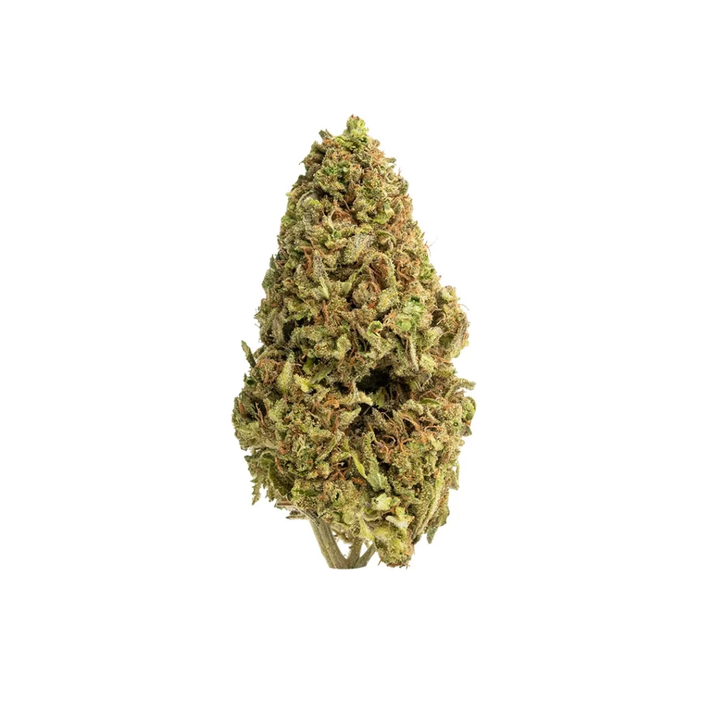 monkey burgers outdoor grown thca flower hand trimmed bud