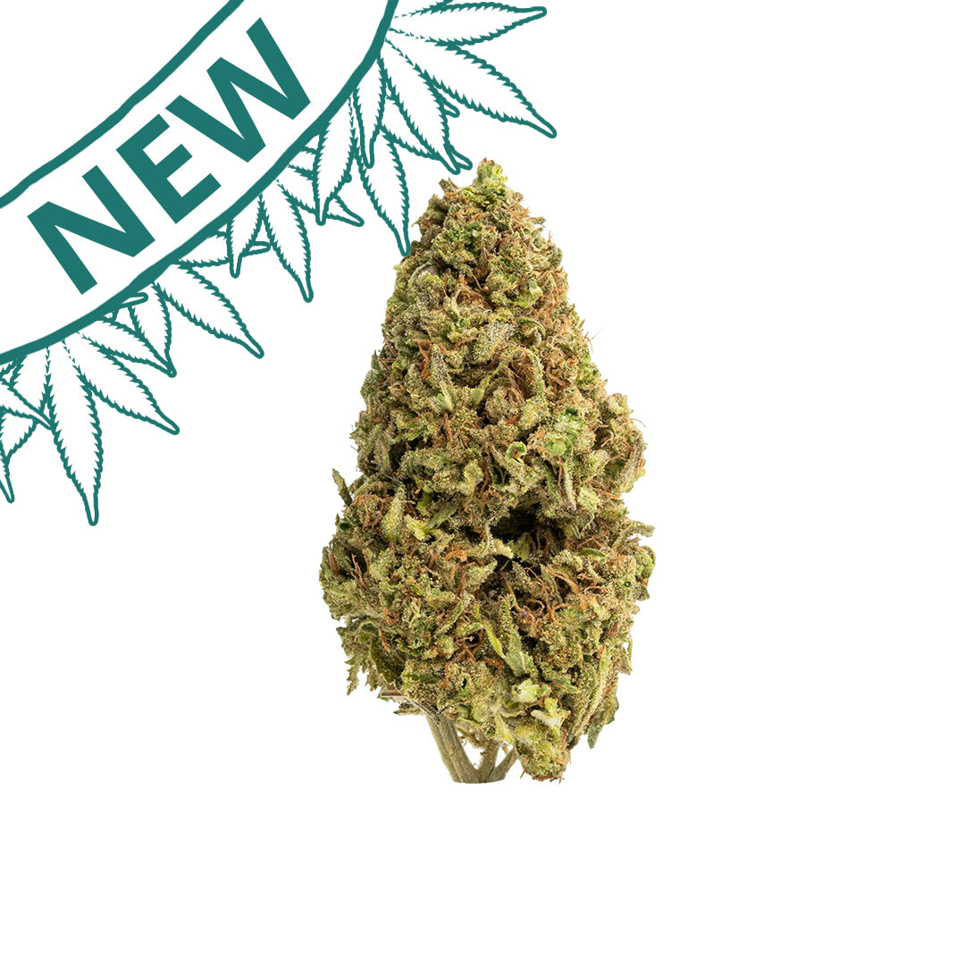 monkey burgers outdoor grown thca flower hand trimmed bud new