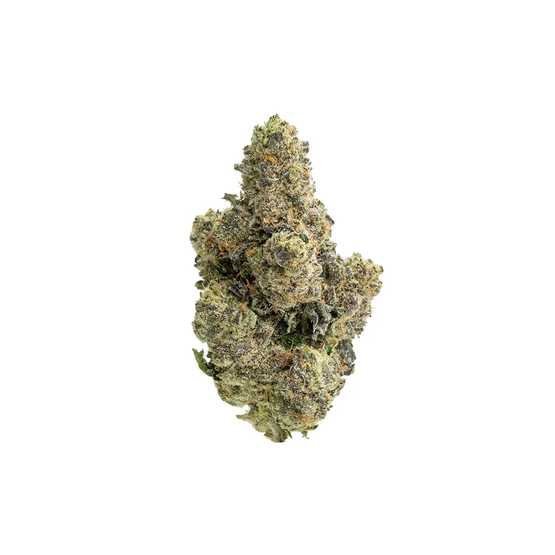 Night Scotty | THCA Flower (Indoor)