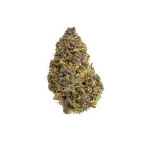 purple lemon hammer thca flower outdoor grown hand trimmed bud