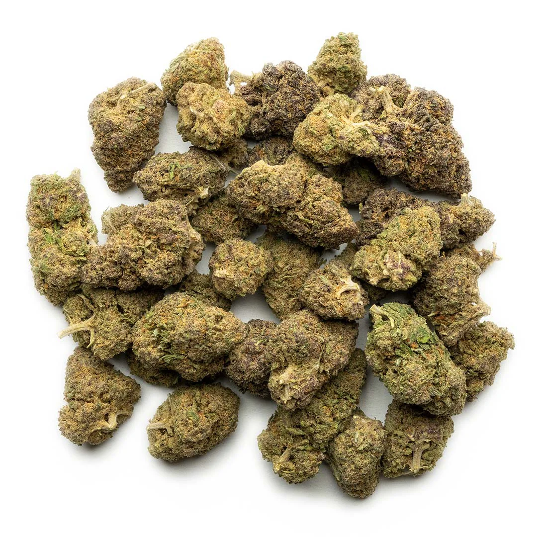 purple-snowman-d8-flower1.webp