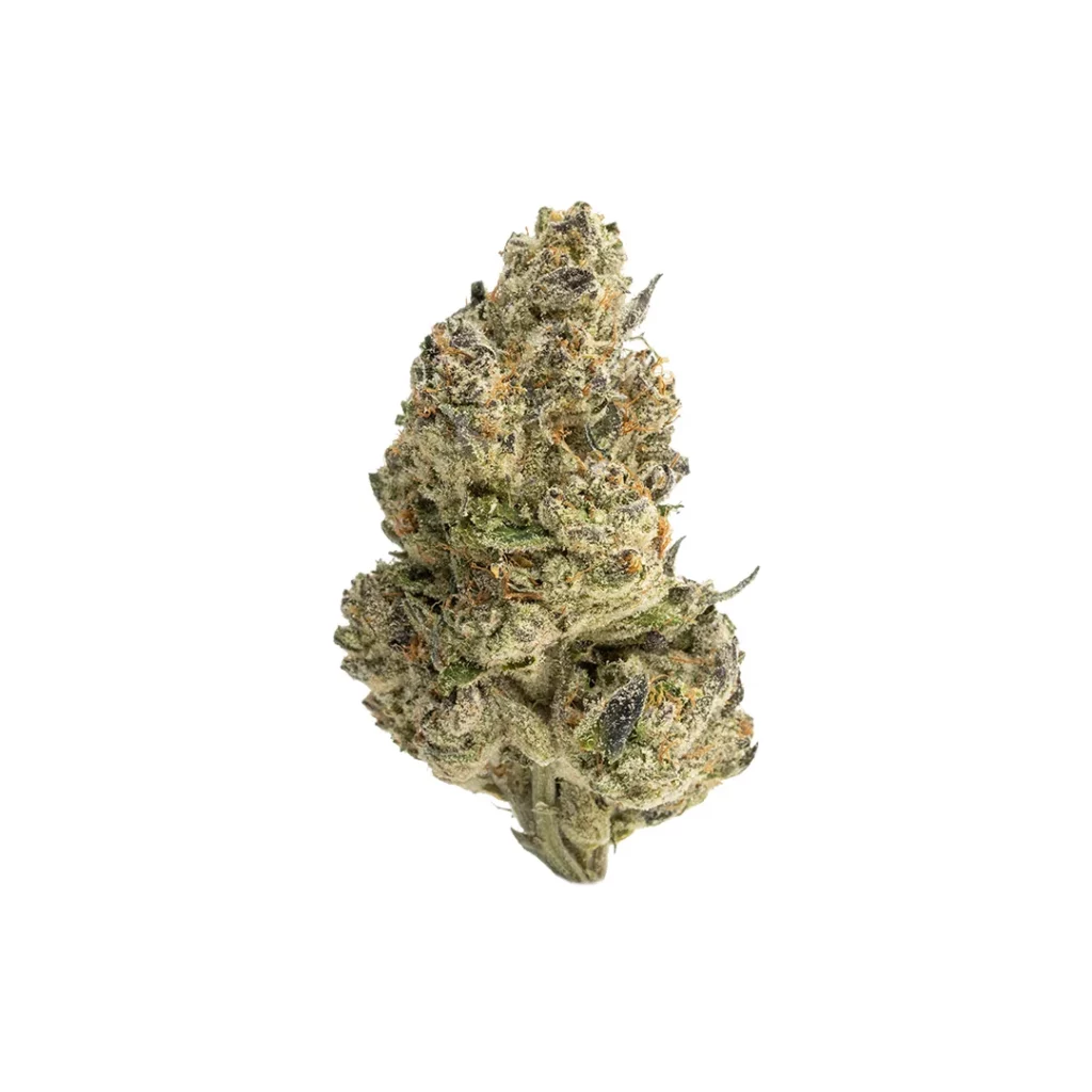 snow runtz indoor grown thca flower hand trimmed bud