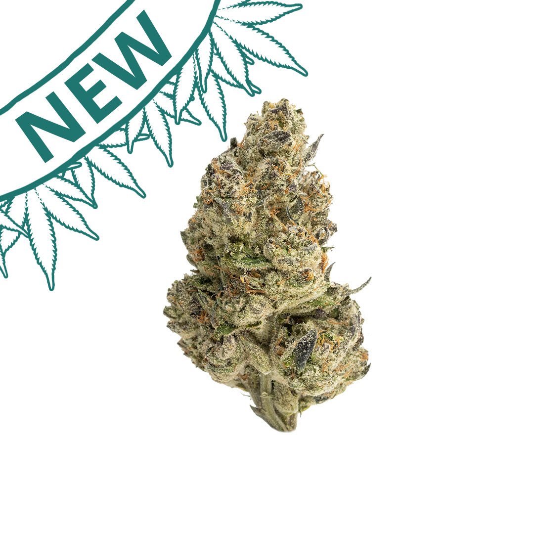 snow runtz indoor grown thca flower hand trimmed bud new